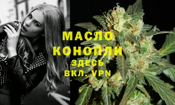 дживик Майский