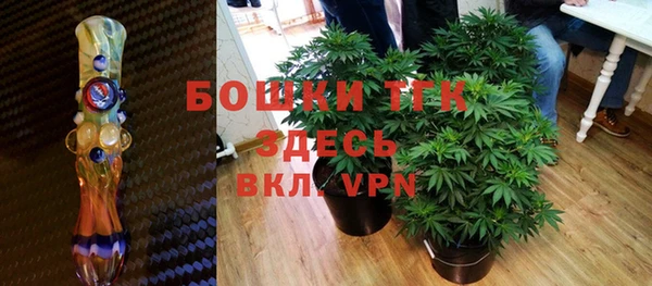 дживик Майский