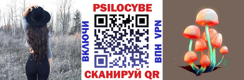 Псилоцибиновые грибы Cubensis  Купить где  Фрязино 